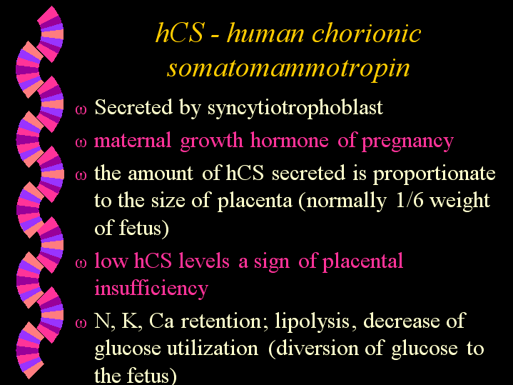 HCS Human Chorionic Somatomammotropin