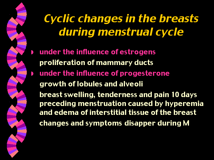 Cyclic Changes In The Breasts During Menstrual Cycle